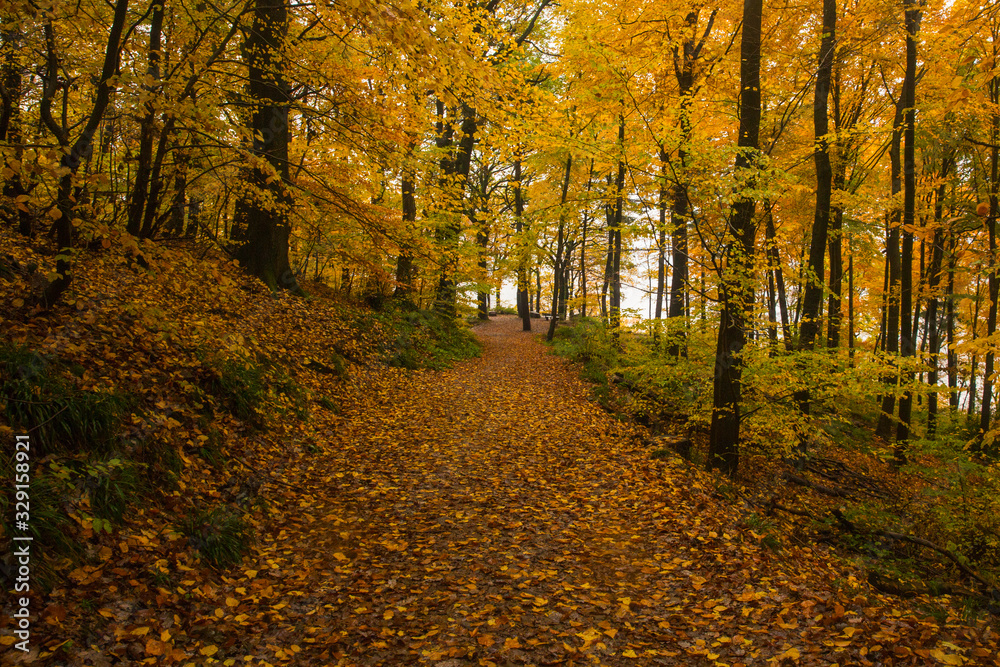 Autumn Park in Heidelberg Autumn Park in Heidelberg