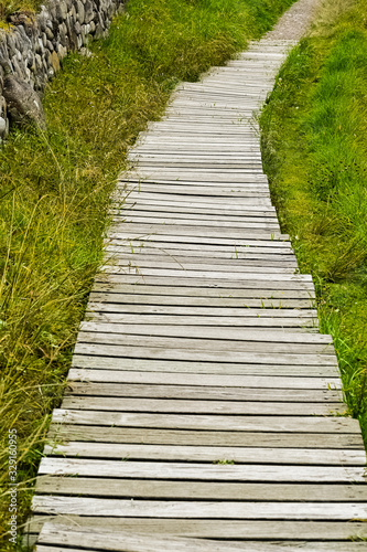 Path  garden and stone wall. Wooden steps along the path in a garden.