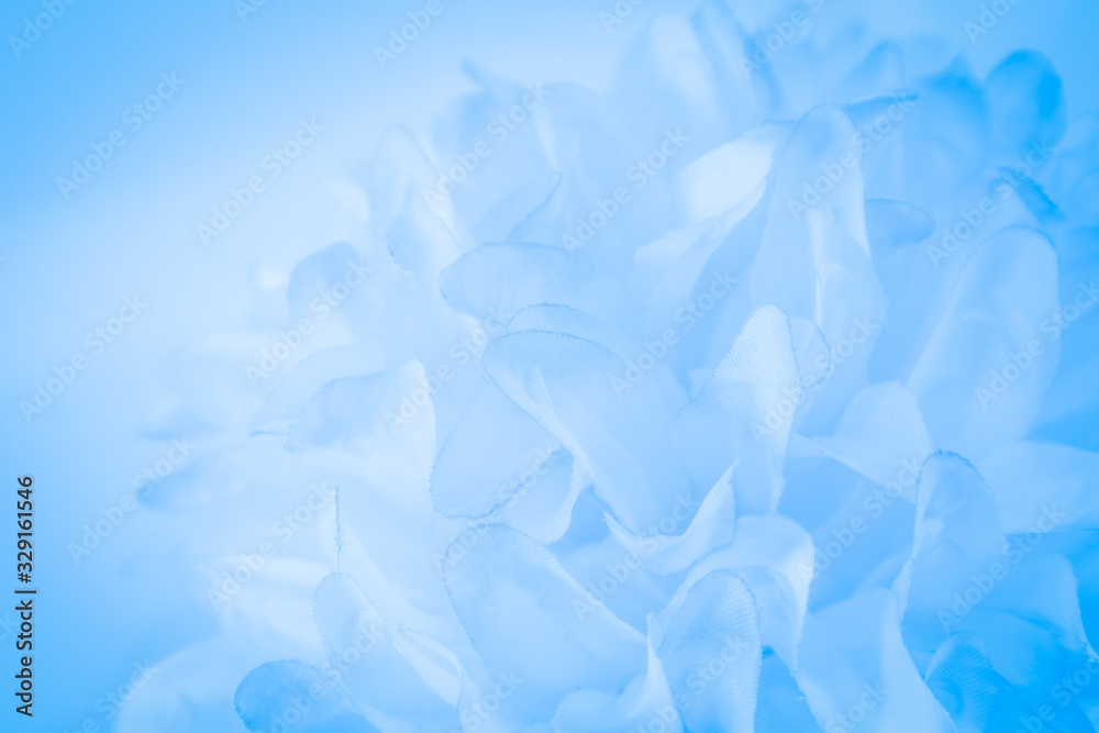 Obraz premium Beautiful abstract color white and blue flowers on white background and white graphic flower frame and blue leaves texture, blue background, colorful graphics banner happy valentine day