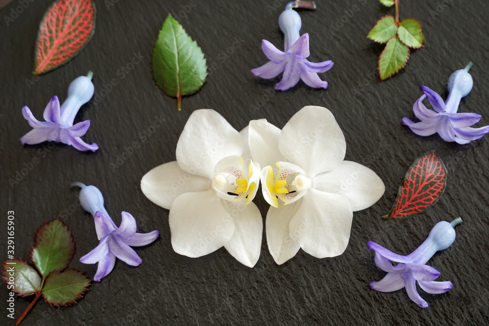 Fototapeta premium White orchid, purple and violet hyacinth flowers with small leaves flat lay on the black background