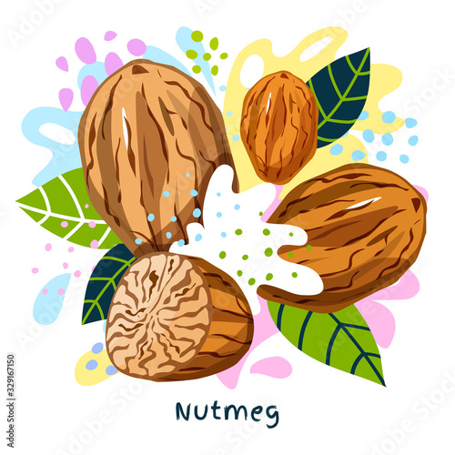 Fresh nutmeg juice splash organic food condiment spice splatter. Spicy herbs nuts. Abstract colorful art splatter splash background.