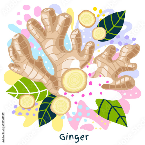 Fresh ginger root juice splash organic food condiment spice splatter. Spice spicy herbs. Abstract colorful art splatter splash background. Vector hand drawn illustration