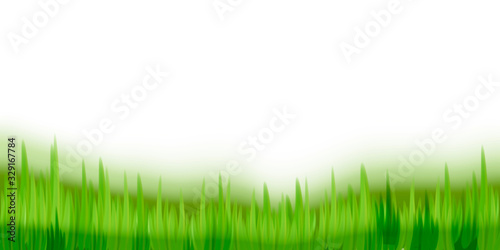Vector green grass illustration: natural, organic, bio, eco label and shape on white background.