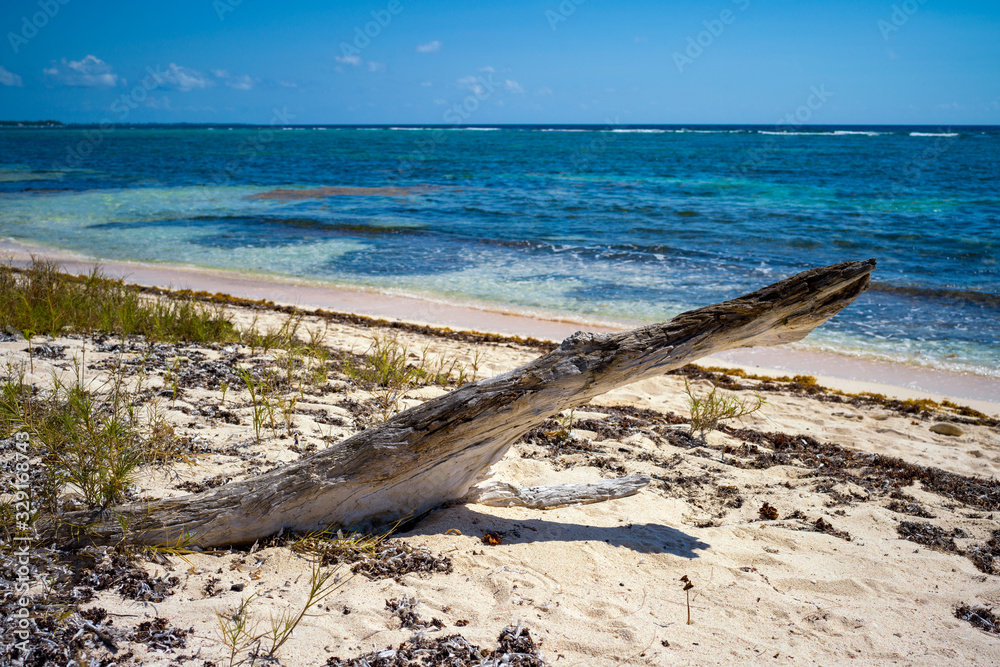 Karibischer Strand mit einem alten Baumstamm im Vordergrund Karibischer Strand mit einem alten Baumstamm im Vordergrund