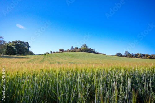 scenes in a rural landscape 