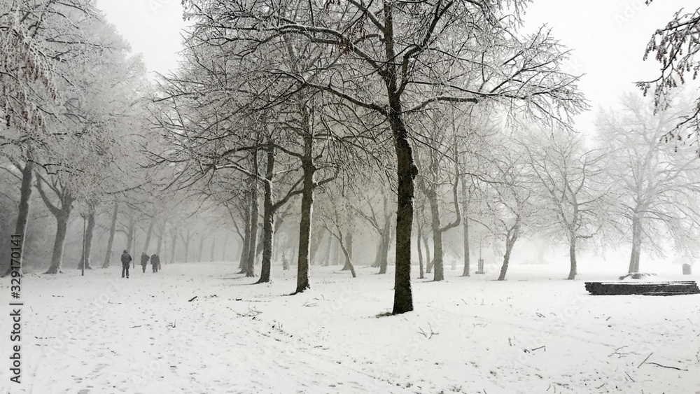 Footpath and trees covered with snow in the city park. Footpath and trees covered with snow in the city park.