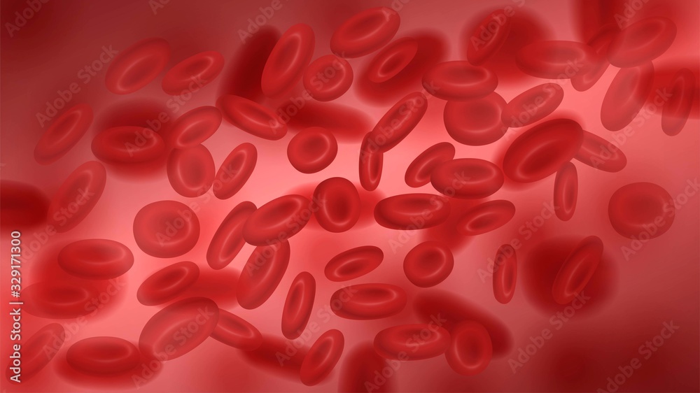 Human blood cells under a microscope, the movement of red blood cells in blood vessels Human blood cells under a microscope, the movement of red blood cells in blood vessels
