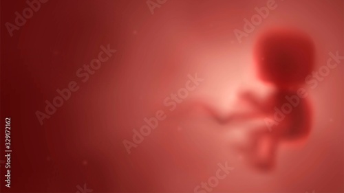 Blurred red human embryo in the womb, pregnancy and obstetrics photo