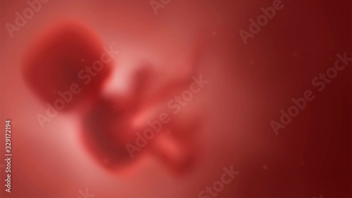 Blurred red human embryo in the womb, pregnancy and obstetrics