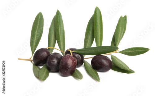 Wallpaper Mural olives with leaves isolated Torontodigital.ca