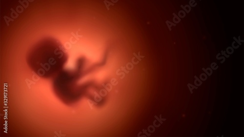Canvas-taulu Blurred red human embryo in the womb, pregnancy and obstetrics