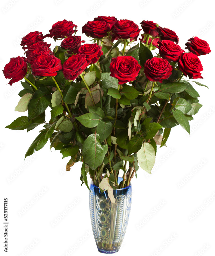 Obraz premium many red roses on black background