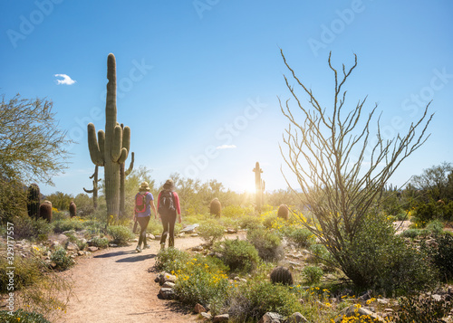 Hikers on a Scottsdale Arizona Desert Trail photo