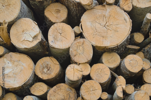 background with stacked wooden logs of different diameters