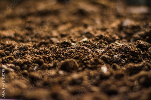 Fotografie, Obraz Earth ground texture as background, nature and environment