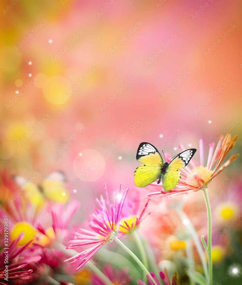 Beautiful butterfly and flowers. Summer concept. Beautiful butterfly and flowers. Summer concept.