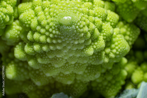 Green Romanesco broccoli. macro photo. Natural fractal patterns 