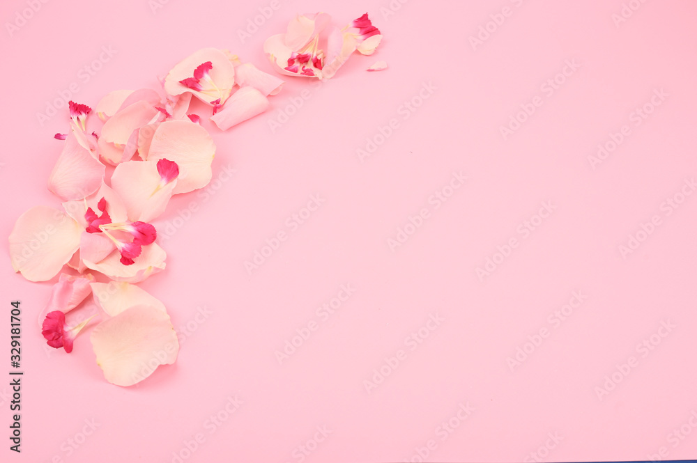 Floral frame of pink petals on a colored background. Minimal nature love idea