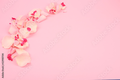 Floral frame of pink petals on a colored background. Minimal nature love idea © SYARGEENKA