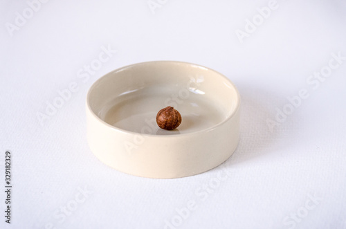 A hazelnut seed in a tiny bowl