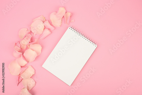 Blank greeting card with pink rose petals oon the pink background. Card for congratulation © SYARGEENKA