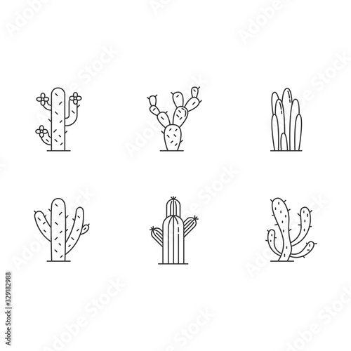 Cactuses pixel perfect linear icons set. American desert plants with fleshy trunks. Family Cactaceae. Customizable thin line contour symbols. Isolated vector outline illustrations. Editable stroke
