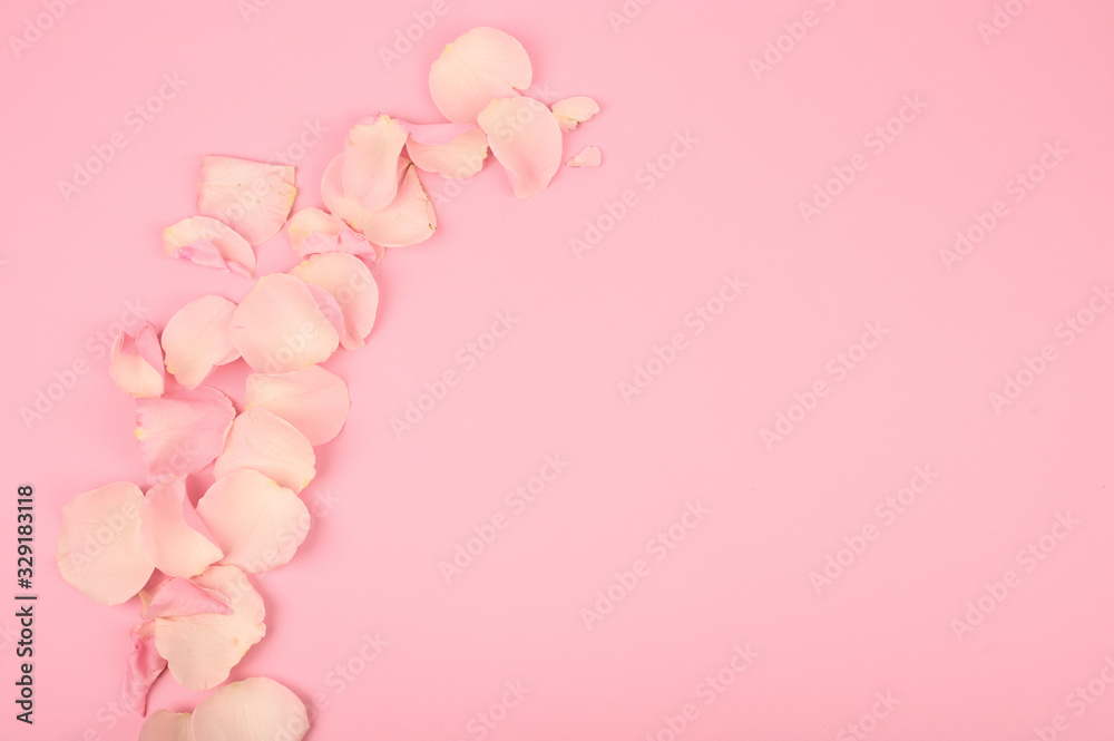 Pink petals on a pink background. Holiday card. Flat lay, top view
