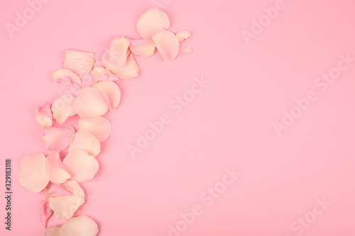 Pink petals on a pink background. Holiday card. Flat lay, top view © SYARGEENKA