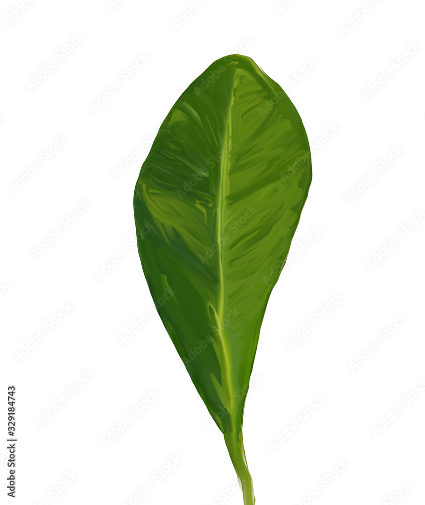 Obraz premium Bright green gouache leaf of plumeria. Hand-painted tropical plant isolated on white background. Exotic illustration perfect for posters, cards, invitation and other designs