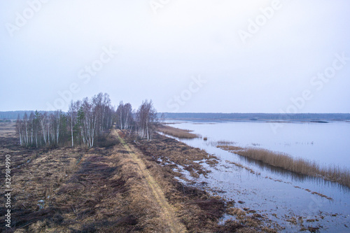 Woodland swampy lake and horizon, Lithuania fall colours