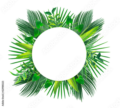 Fototapeta Naklejka Na Ścianę i Meble -  Circle shape banner with grenn tropical leaves. Isolated on white. 