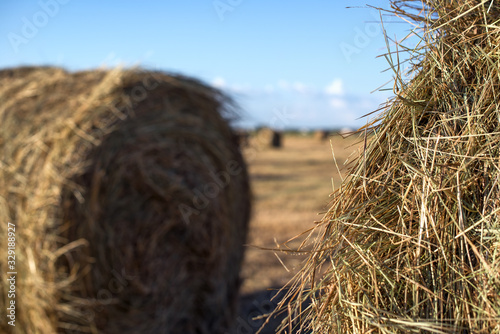Fototapeta haystack in a field under a blue sky
