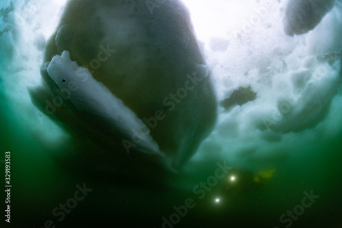 Drift ice diving