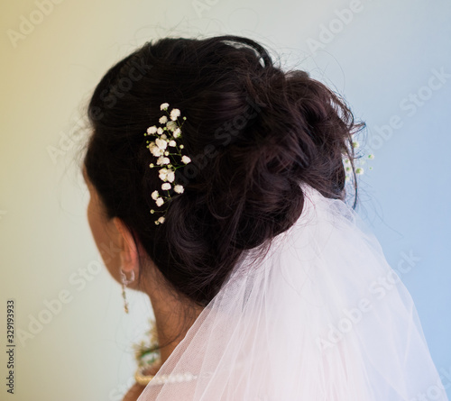 Beautiful hairstyle of a bride. Back view. She is wearing a veil. 
