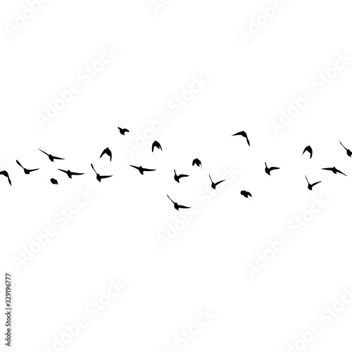 A flock of flying birds silhouette. Vector illustration