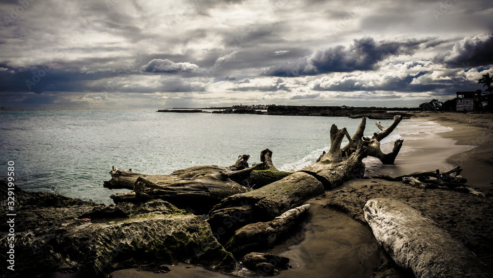 rocks on the beach