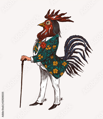 Rooster character with a cane and boots. Fashionable Aristocrat or Rich Man. Hand drawn fashionable cockerel. Engraved old monochrome sketch.