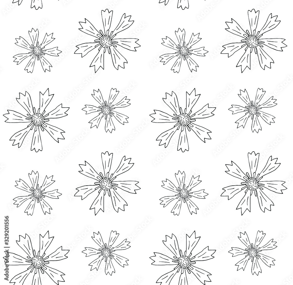 Vector seamless pattern of hand drawn doodle sketch cornflower isolated on white background Vector seamless pattern of hand drawn doodle sketch cornflower isolated on white background