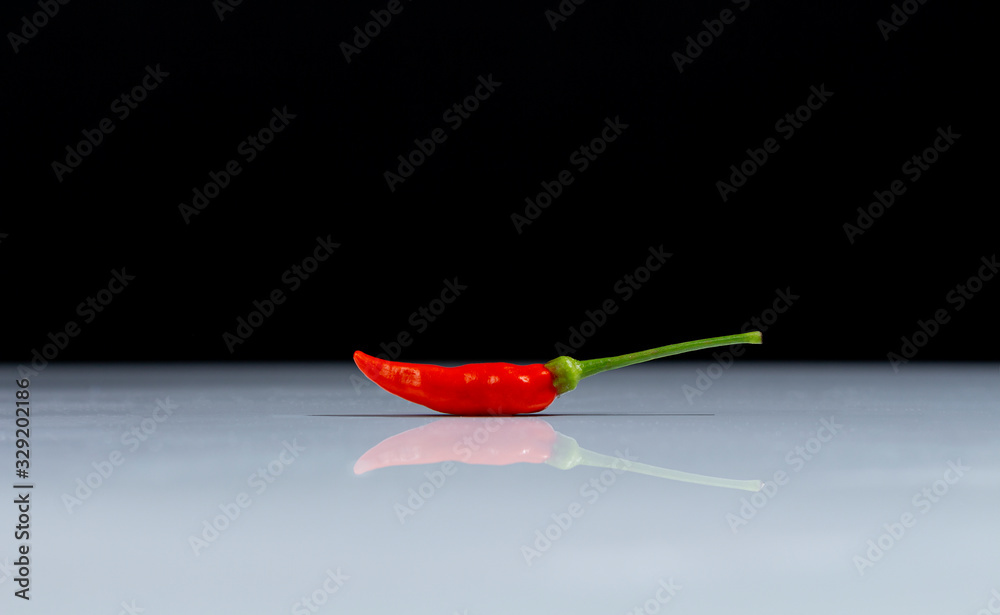 Chili Pepper, native to the tropical regions of the Americas Stock