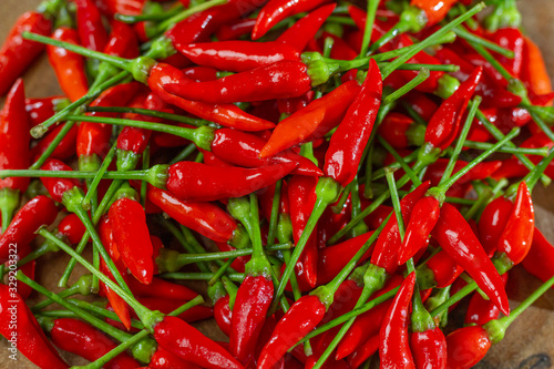 Chili Pepper  native to the tropical regions of the Americas