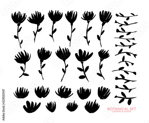 Flower silhouettes hand drawn black paint illustrations set. Delicate blooming plants monochrome drawings collection.