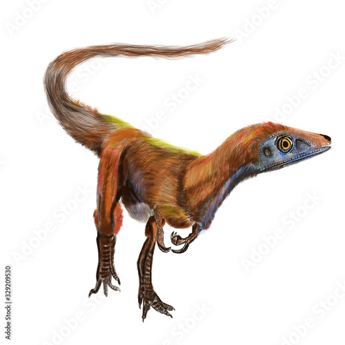 Fototapeta Naklejka Na Ścianę i Meble -  Sinosauropteryx dinosaur digital painting