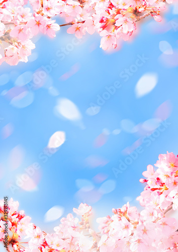 優しい桜イラスト