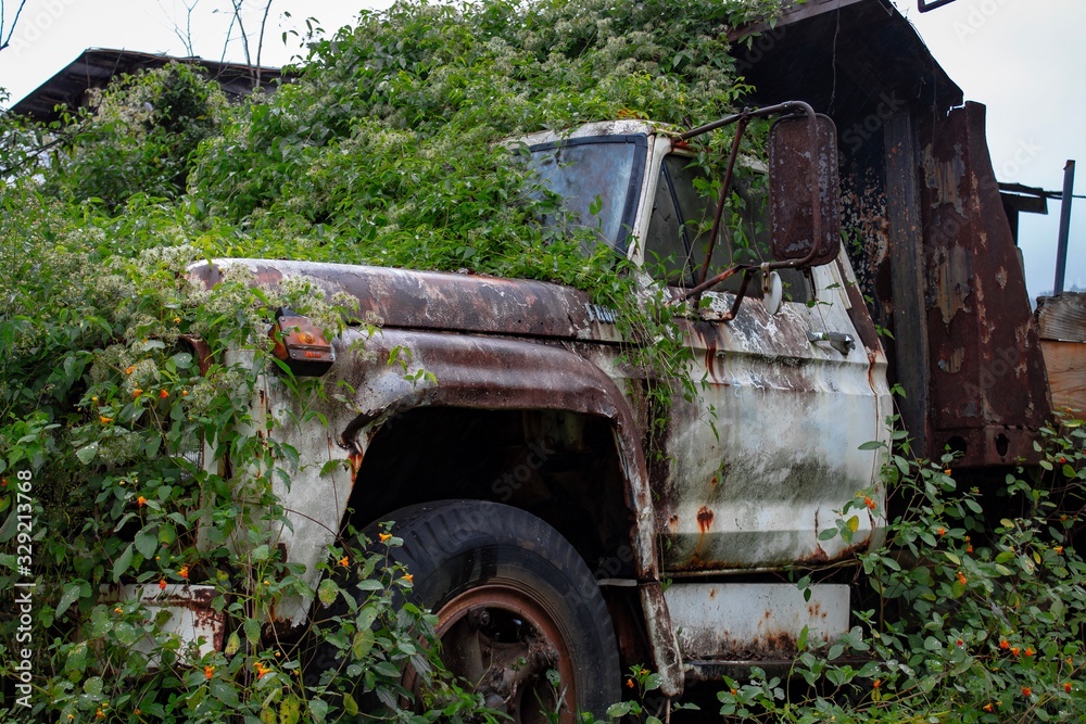 Rusted Truck in North Georgia 