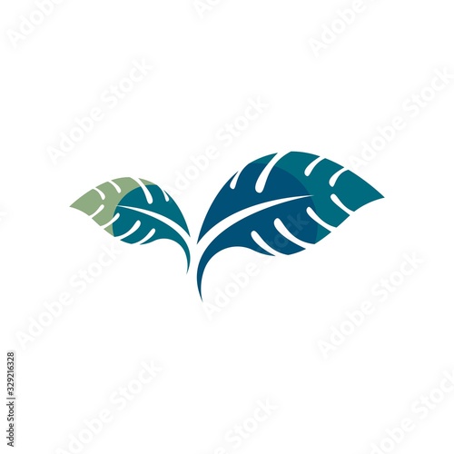 Taro leaves icon