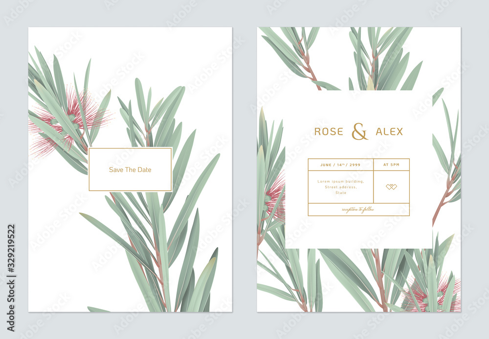 Wedding invitation card template design, bottle brush branches on white