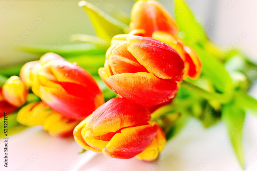 Naklejka premium Floral easter background. Bouquet of flowers of red yellow blooming tulips with green leaf on bright blurred background of white desk. Selective focus
