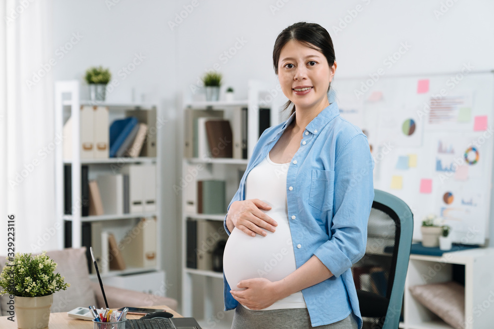 Cheerful pregnant lady freelancer working in modern home office in day time. beautiful future motherhood standing indoors in bright workplace face camera smiling. maternity woman hold big belly. Cheerful pregnant lady freelancer working in modern home office in day time. beautiful future motherhood standing indoors in bright workplace face camera smiling. maternity woman hold big belly.