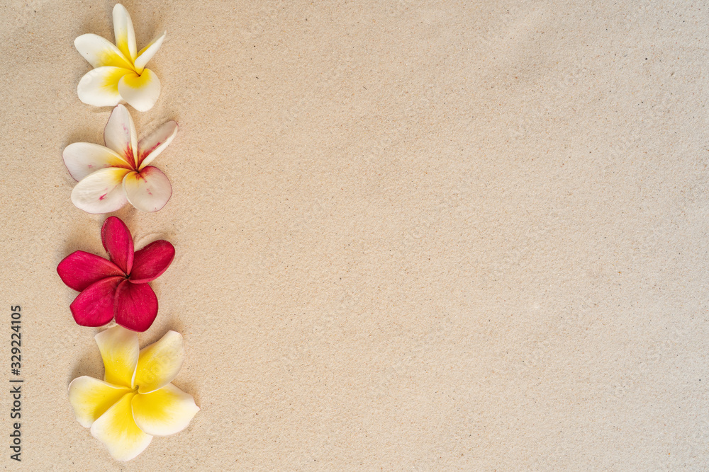 Blossom Plumeria Collections on brown sand background. Blossom Plumeria Collections on brown sand background.