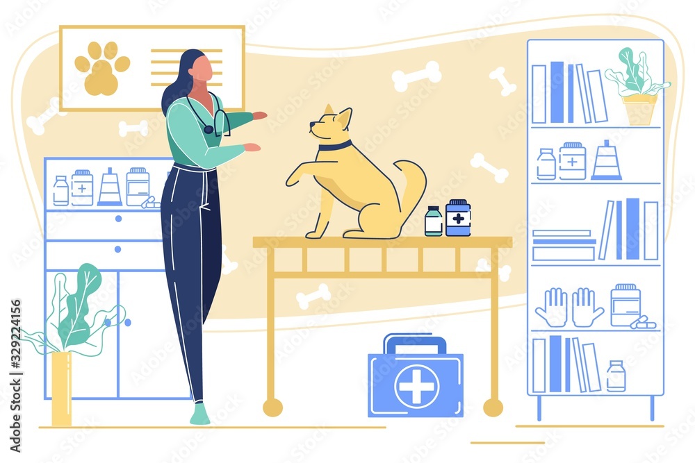 Woman Vet Clinic Doctor Wearing Uniform with Stethoscope Take Dog Patient in Cabinet. Domestic Animal Sitting on Table with Raised Paw. Pets Health Care Appointment Cartoon Flat Vector Illustration